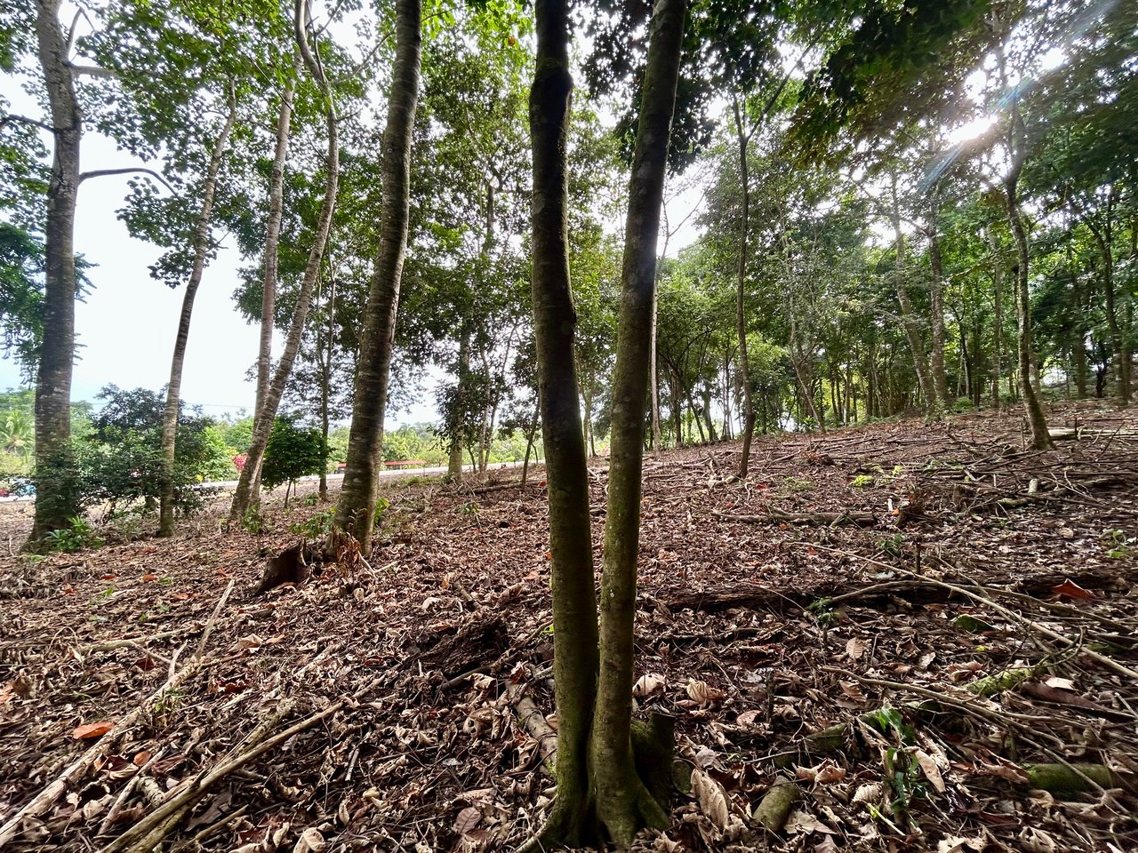 Tawal Lots for Sale – Prime Commercial & Residential Opportunity