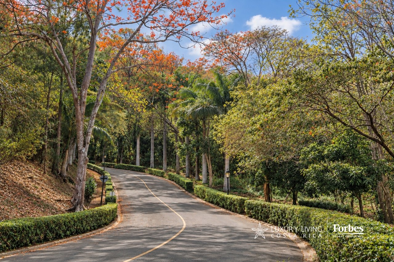 Curving road bordered by tropical trees, palms, and clipped hedges.