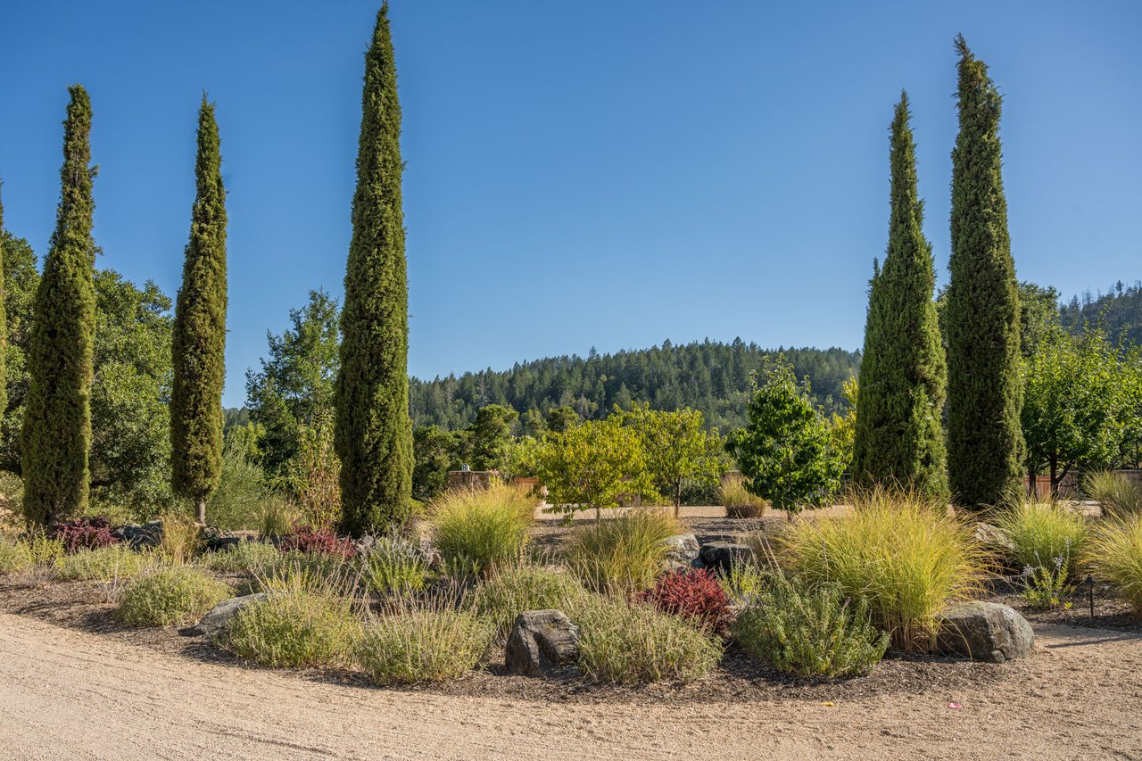 Oakville Vineyard Estate