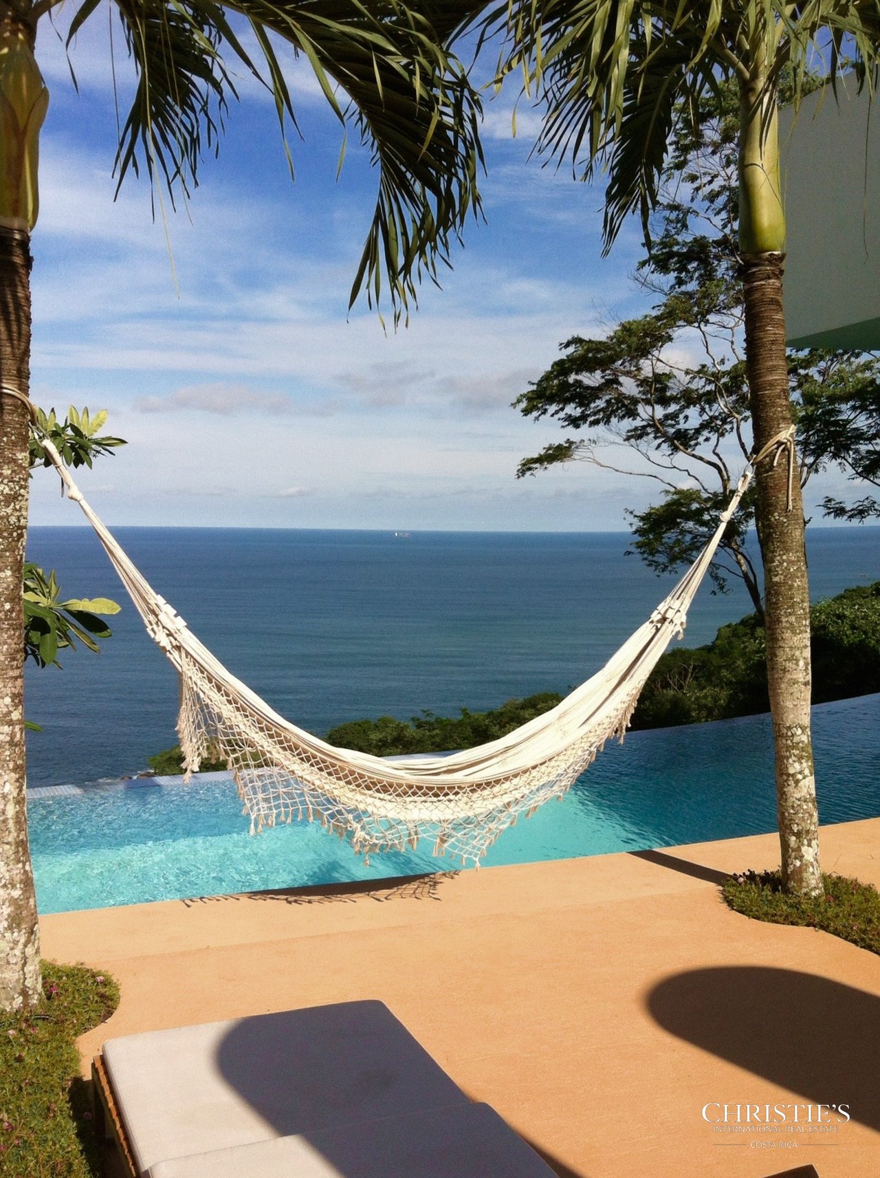 Jungle and Ocean Architectural Masterpiece