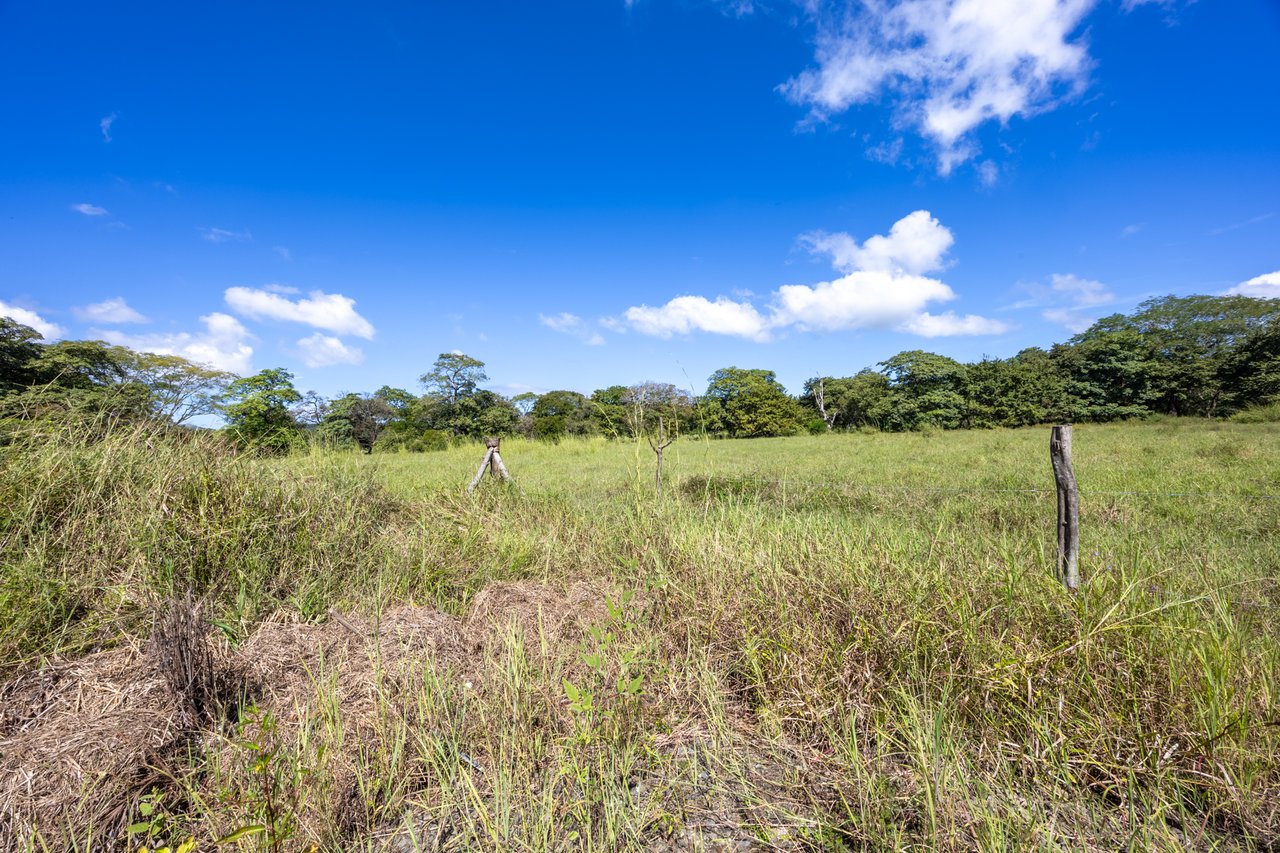 Los Jobos Lot #1 | Flat 943 m² Buildable Lot Minutes from Tamarindo Beach