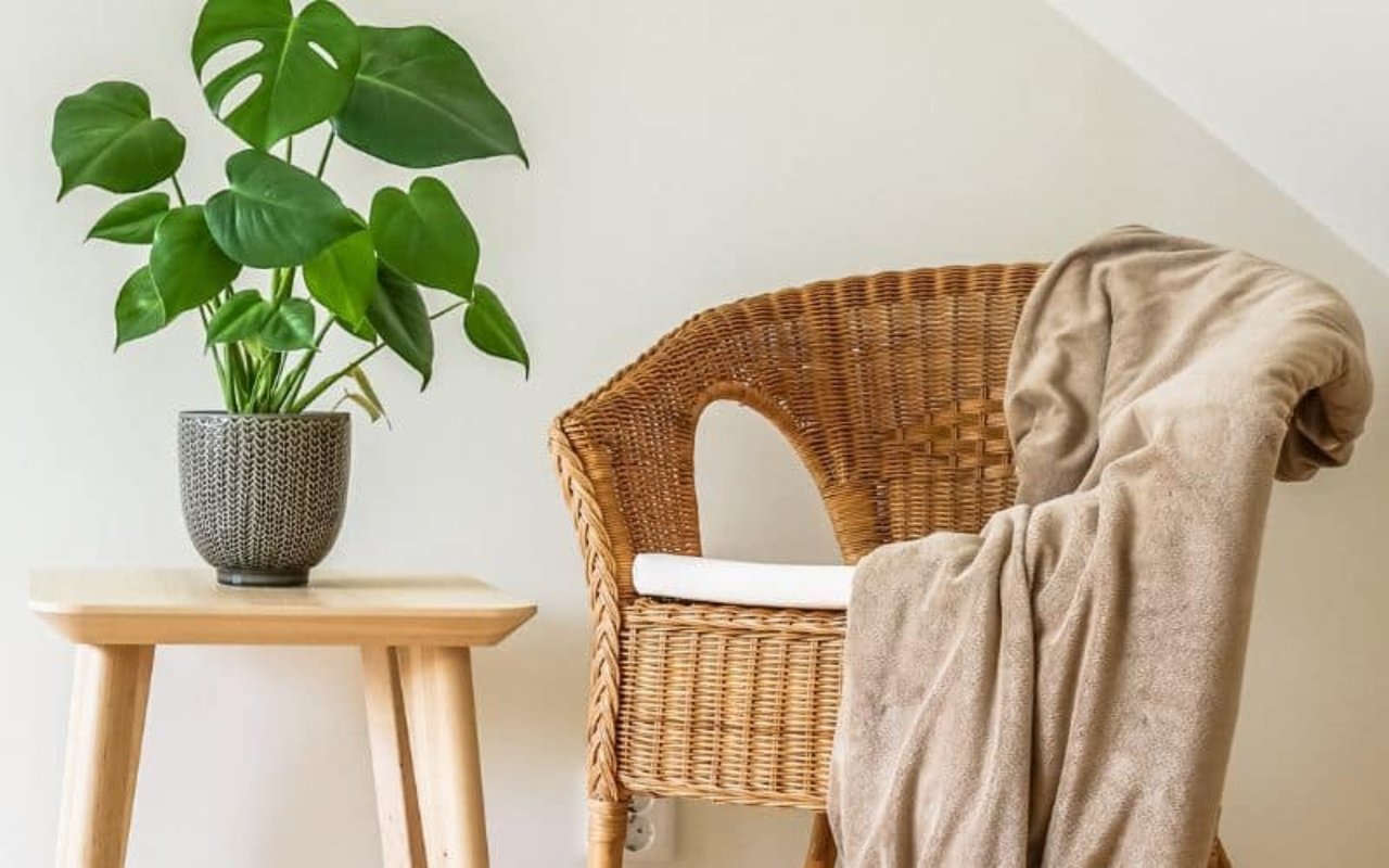 Interior Design Trends for 2020