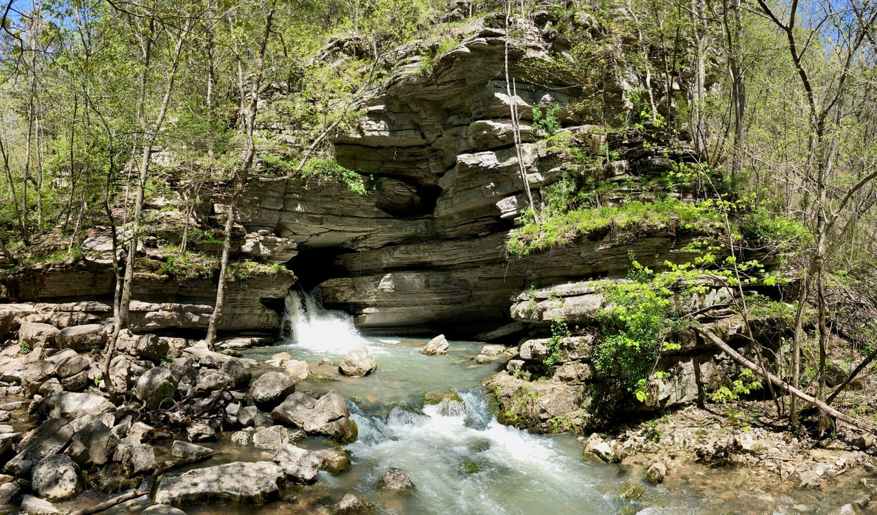 Cave Springs