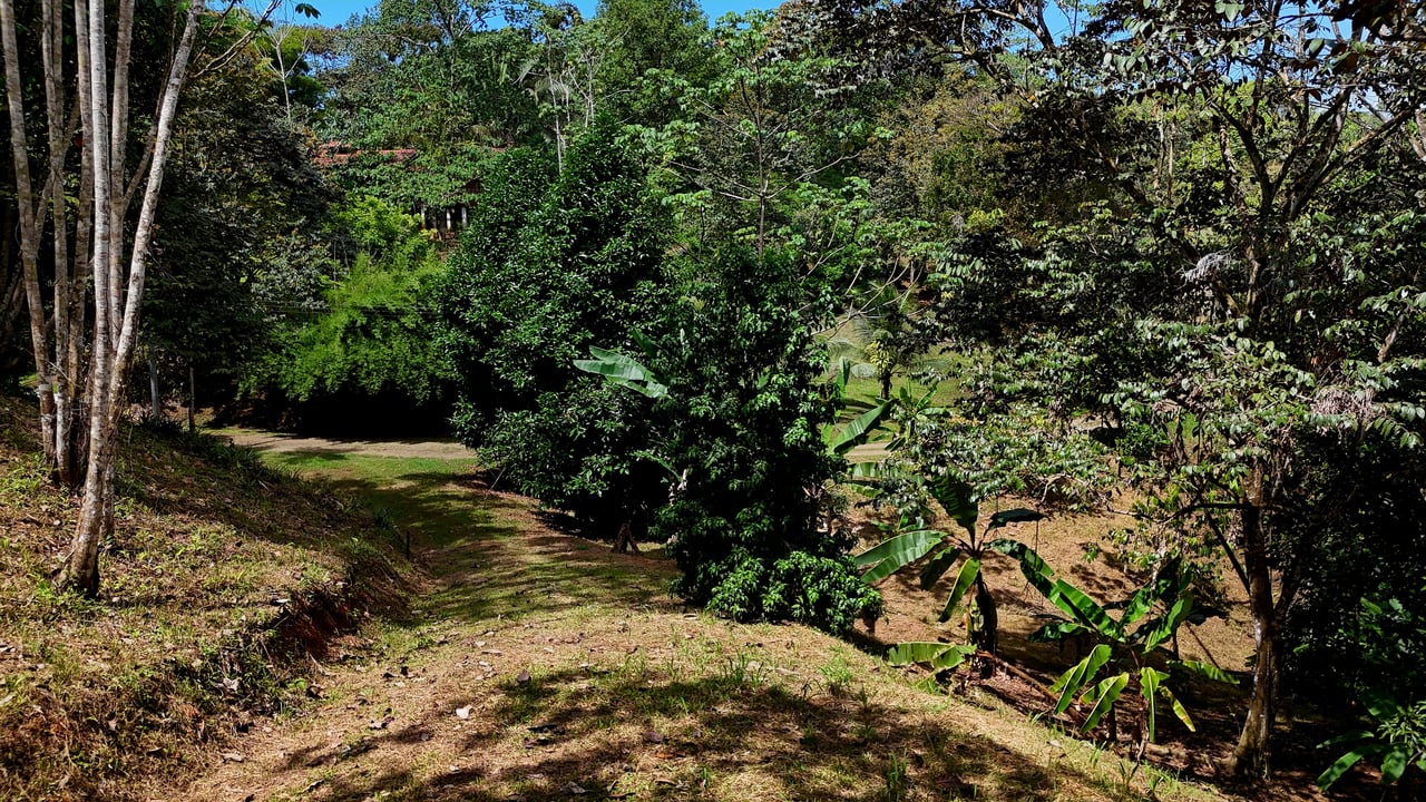 Beautiful mountain view land located in a quiet community in Ojochal. 