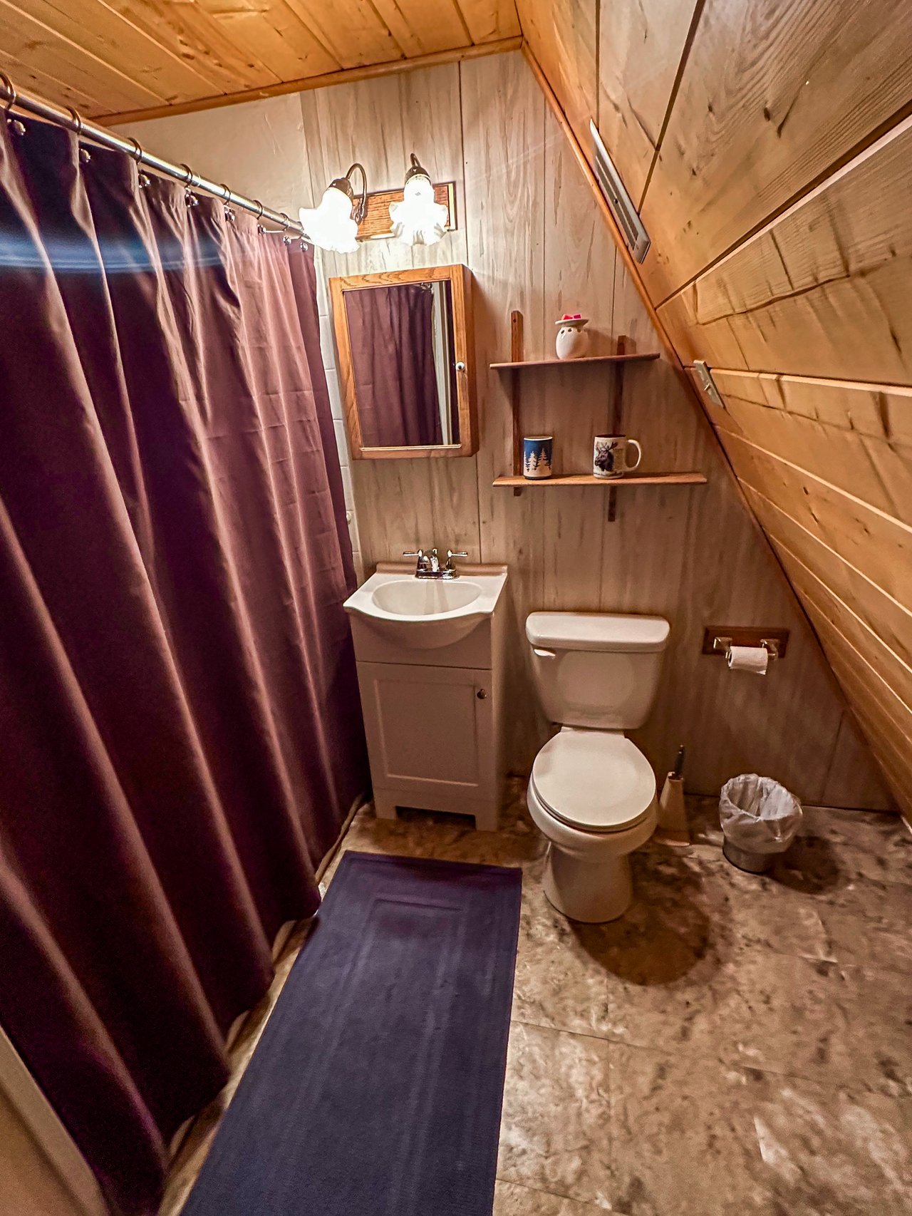 Bathroom with a toilet and vanity beneath a steep wood-paneled ceiling and dark shower curtain.