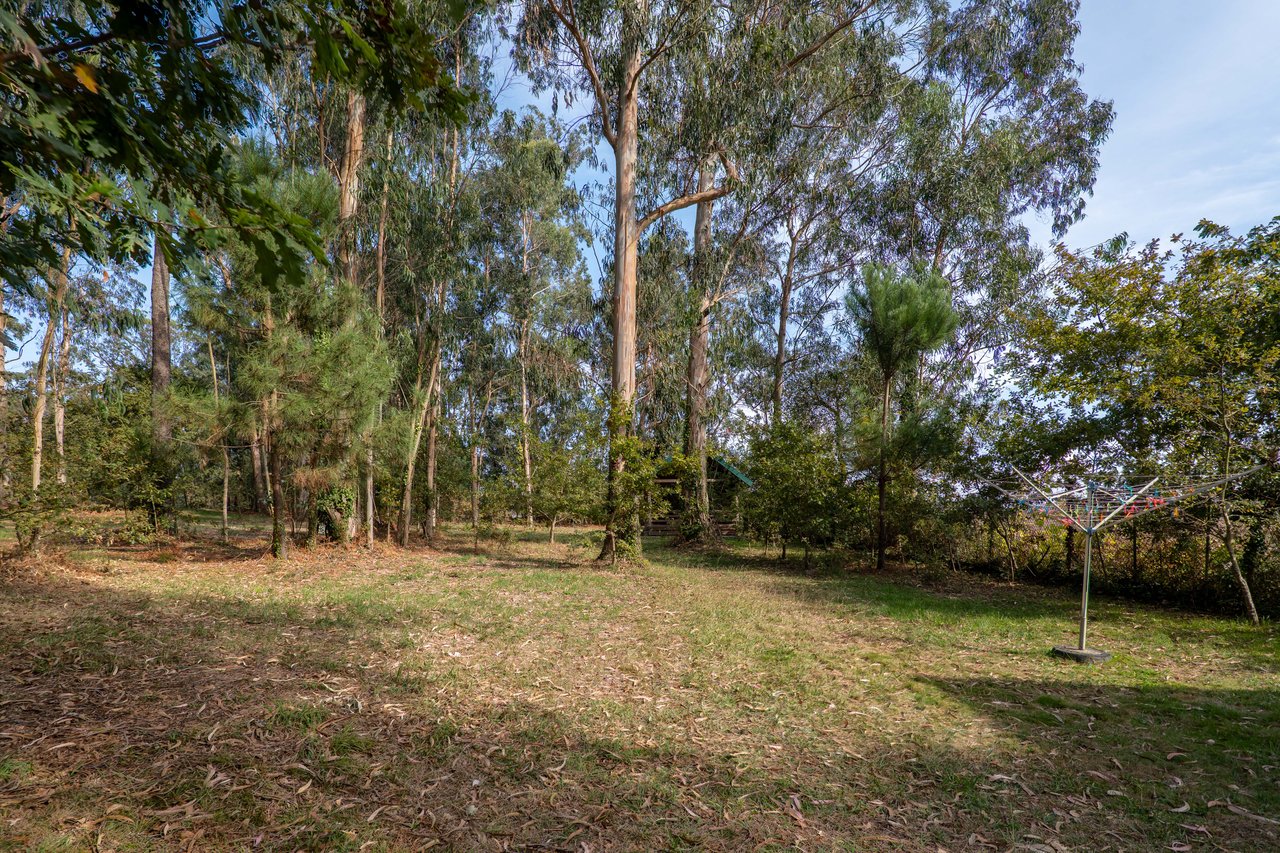 Equestrian Estate in Lavra with 13,000 m² just 800 Meters from the Beach