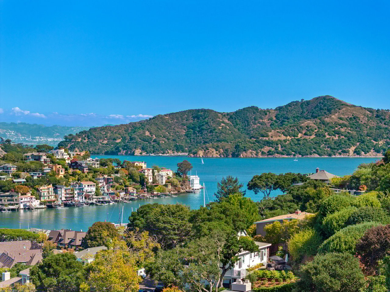 Contemporary Gem on Belvedere Island