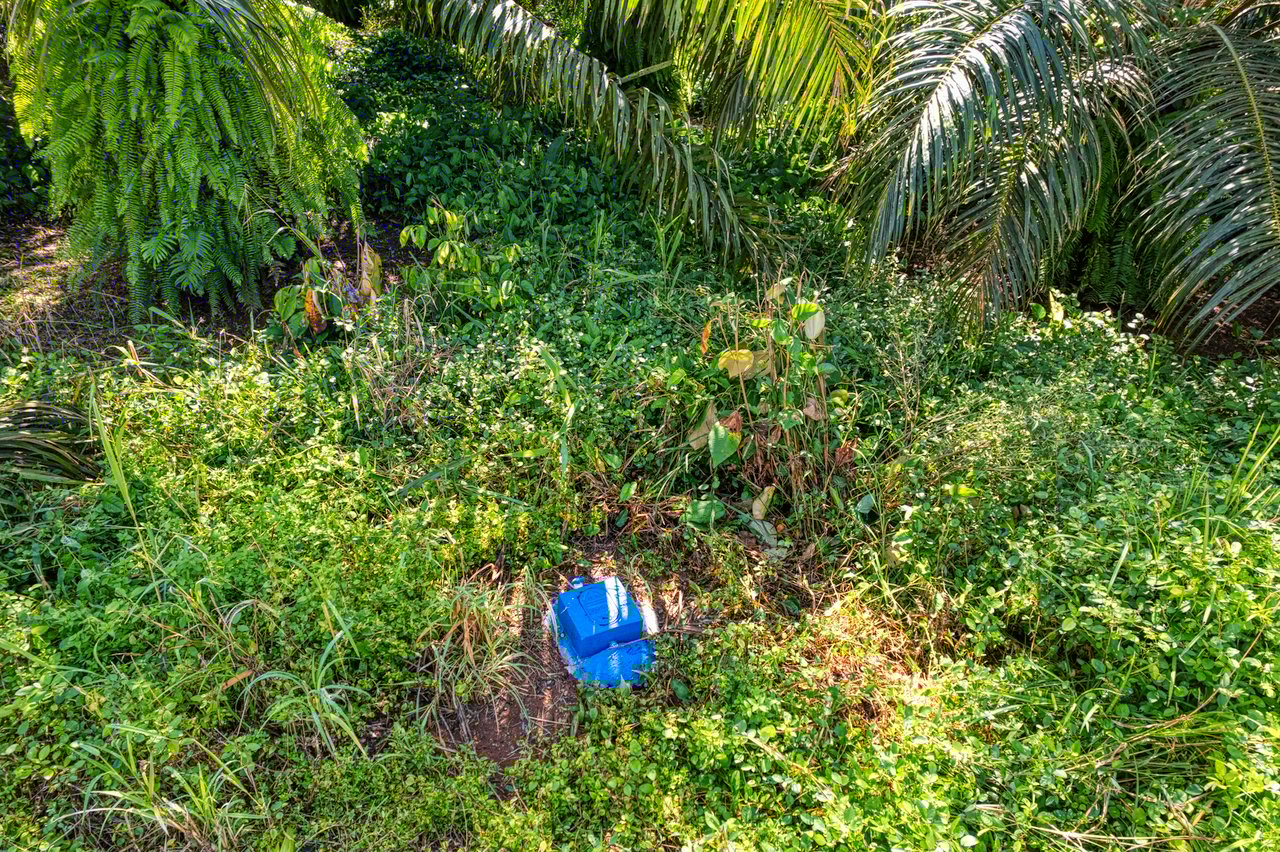 Ocean View Property in Portalon