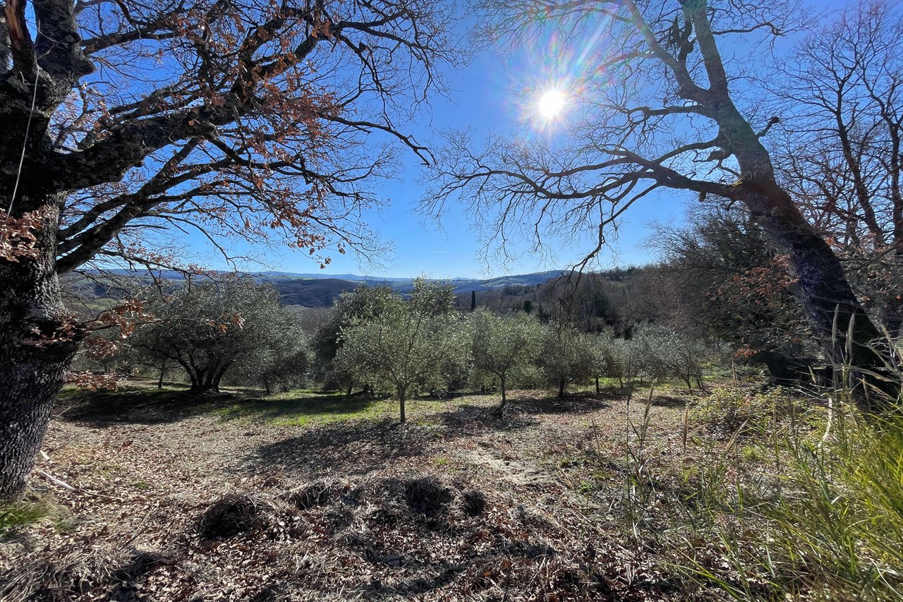 A Charming Stone Farmhouse for Sale in Radicofani