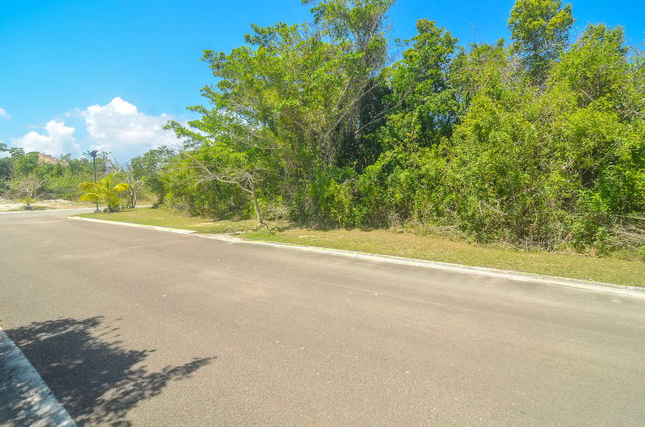 Lot #81 Lyford Hills