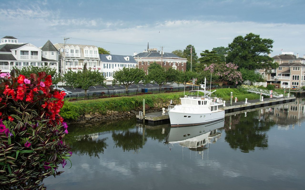 Lewes