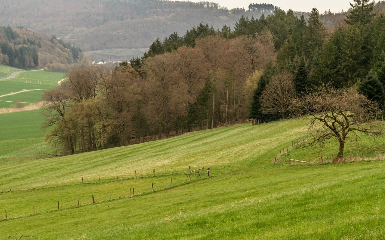Grassy Creek