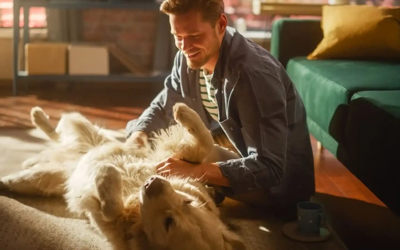 Pet-Friendly Home Features That Boost Value