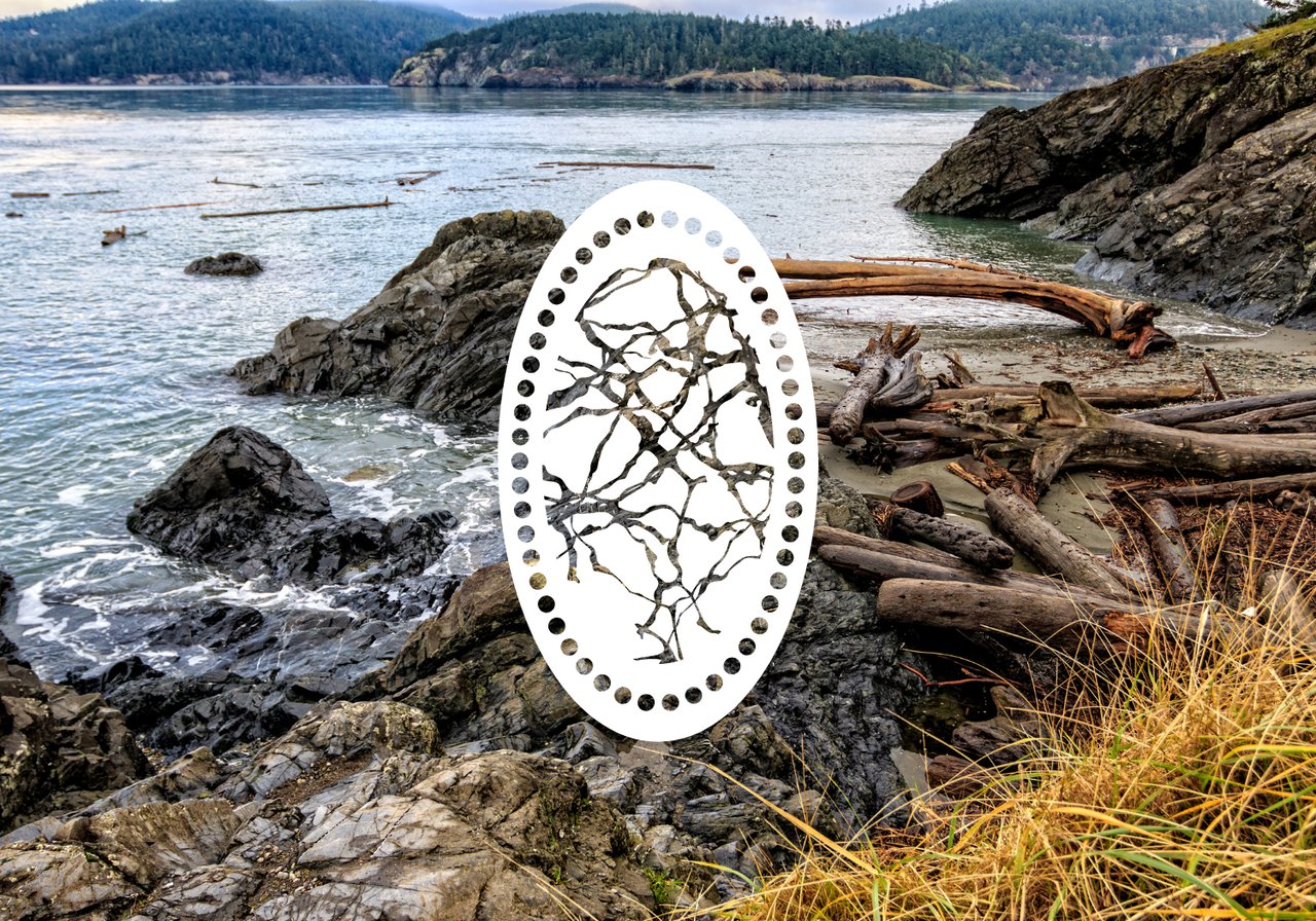 Local's Guide to Living in Oak Harbor, Washington