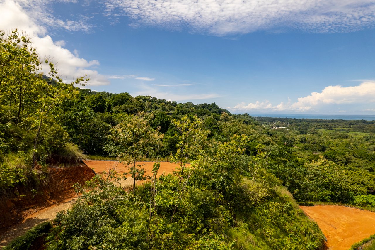 ¡New Gated Development in Matapalo - Ocean View and Flat Land, ready to build!