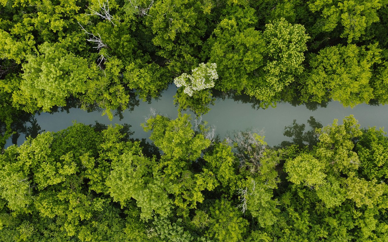 Catawba Cove