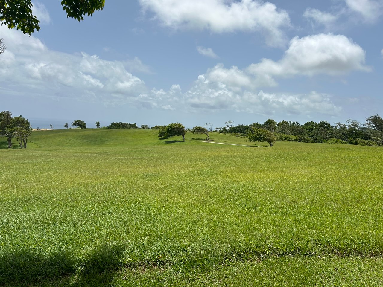 Apes Hill, Holders Meadow, H16