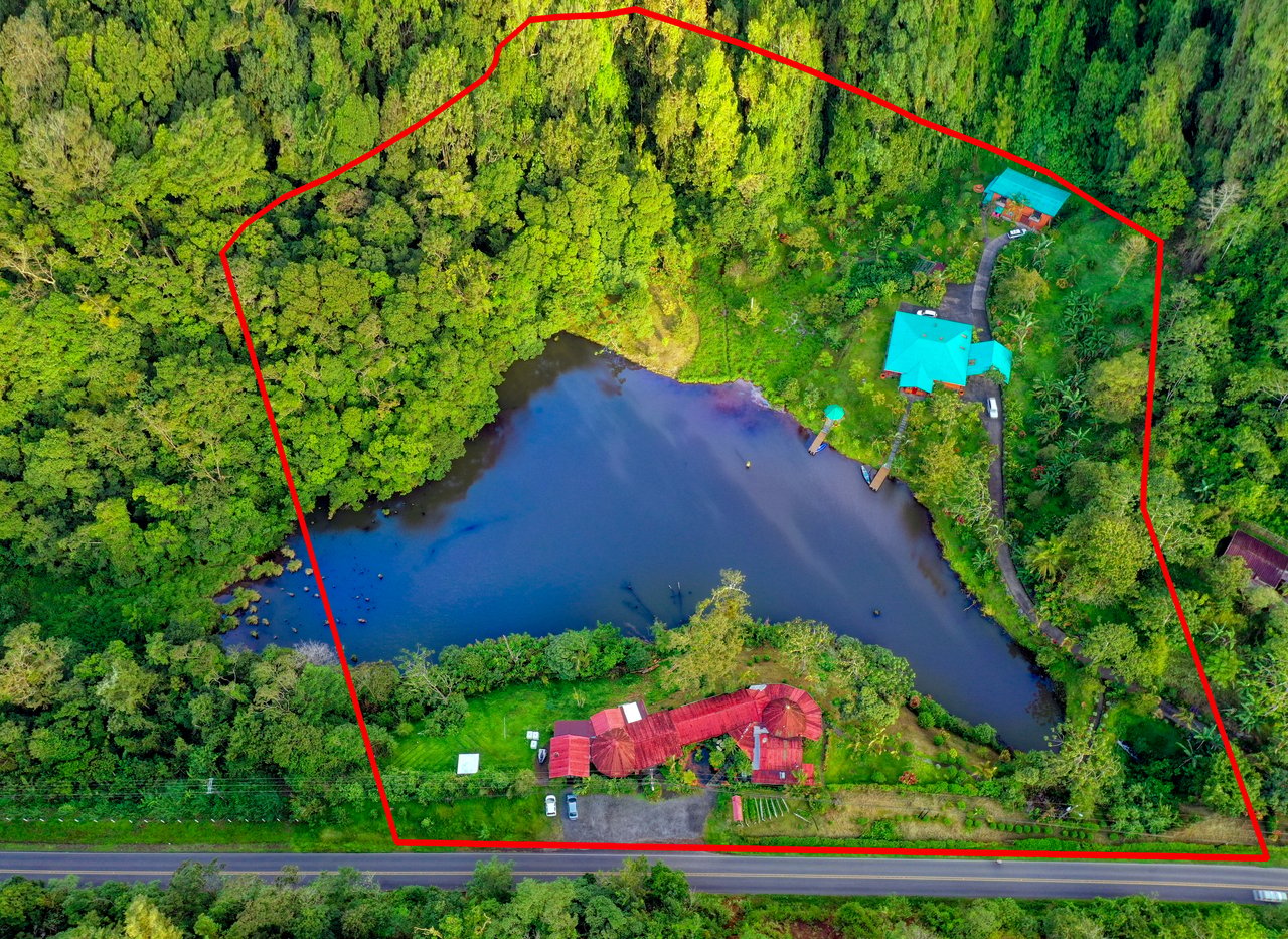 The Lucky Bug | Boutique Hotel & Investment Opportunity in Nuevo Arenal