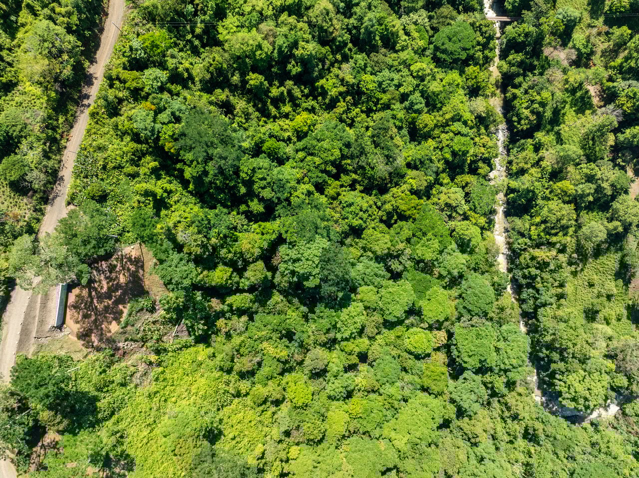 Private 5-acre Riverfront Property with Ocean & Mountain Views | San Josecito