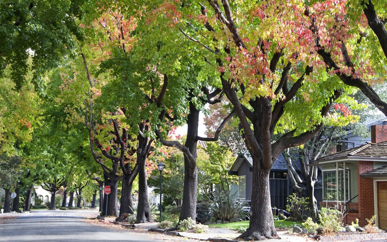 Greenbrae