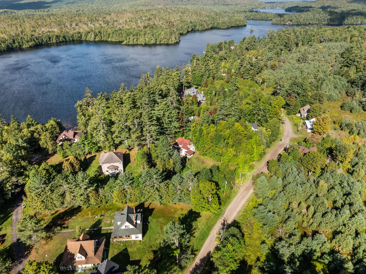 Aerial view of lakeside homes surrounded by trees along a winding dirt road.