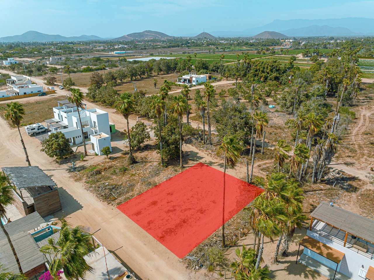 Huerta Hermosa Crudo Lot 702