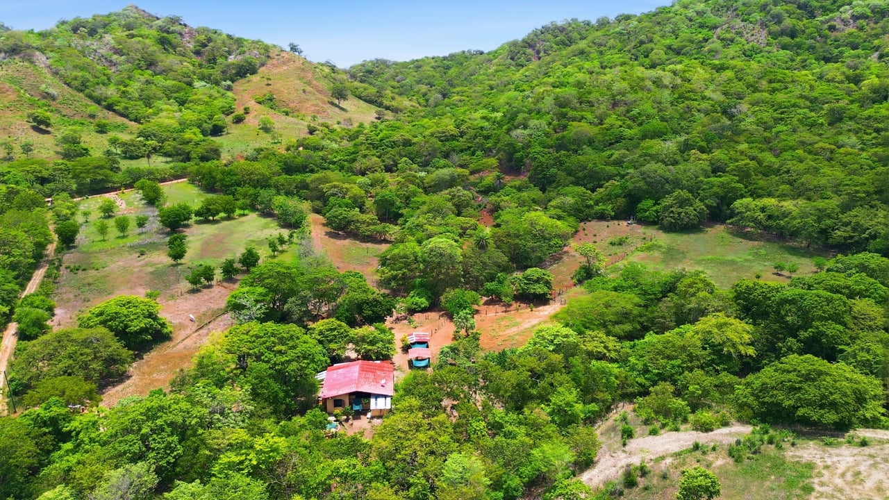 3.4 Acres of Quiet Country Living | 12 minutes from the Beach - Tempate 