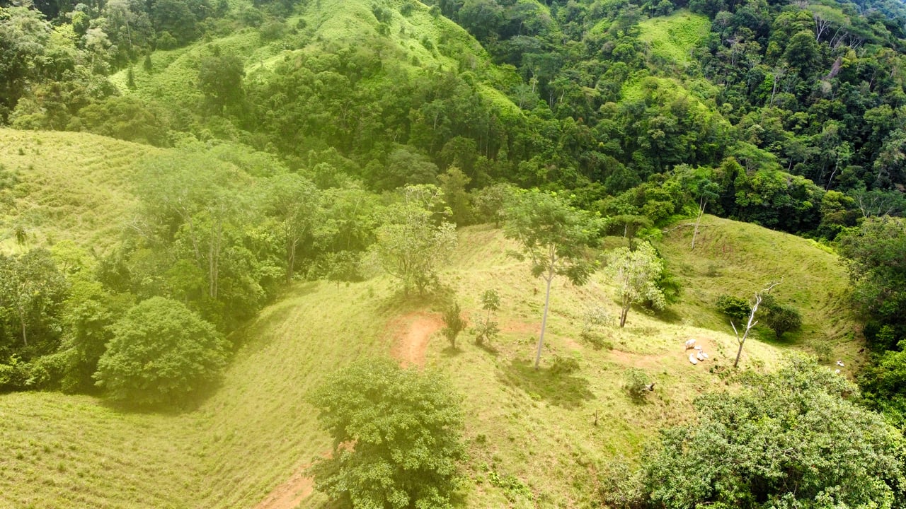 Spectacular 70 Acre Multiple Waterfall Property with Dramatic Views Near Ojochal