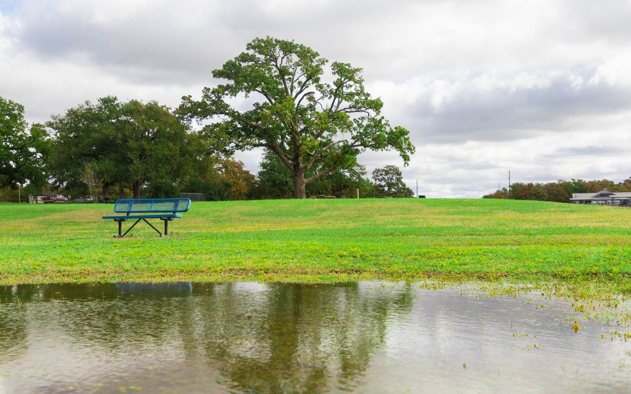 Salmon Creek