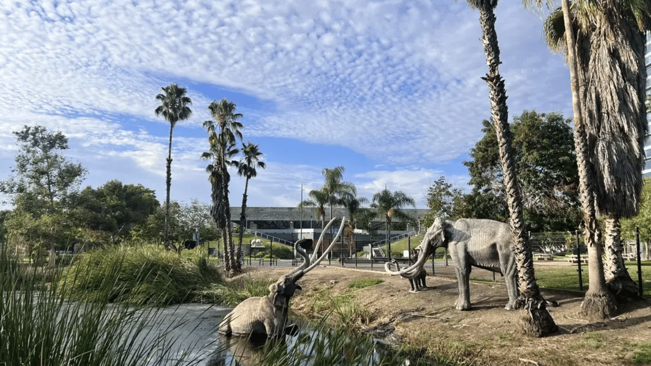 Unearthing History: La Brea Tar Pits and Hancock Park in Los Angeles