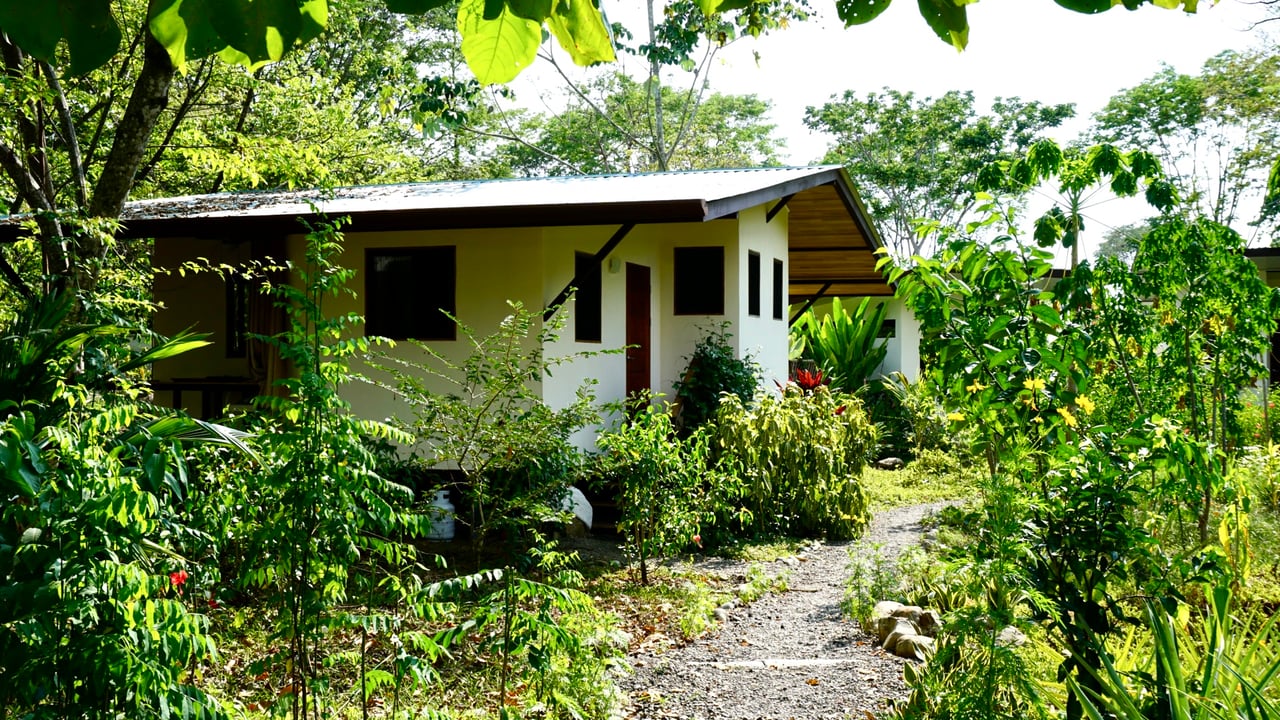 12.5 Acre property In-town for expansion, Enjoyment or Development