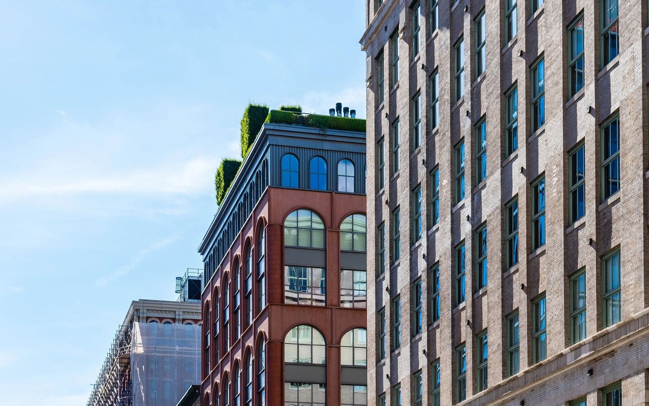 Tribeca buildings with arched windows and rooftop greenery.