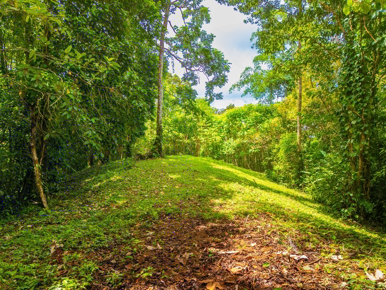 Tropical Paradise in Cascada Sándalo, Tres Ríos Ocean & Mountain Views | Gated Community | Abundant Nature