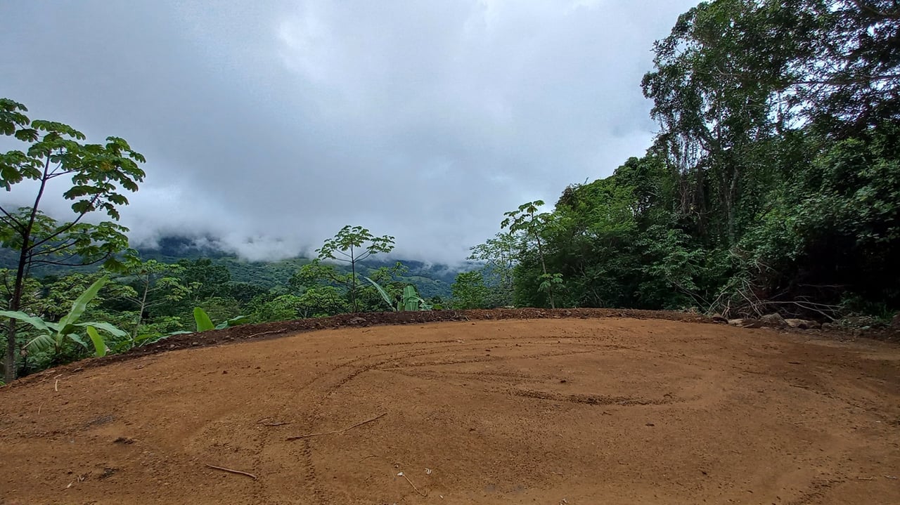 Mountain View Land with Several Building Sites and Mature Fruit Trees
