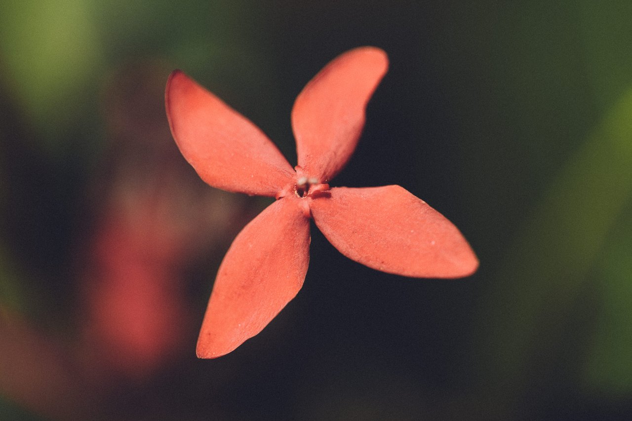  Punta Sabana & Mar Serena