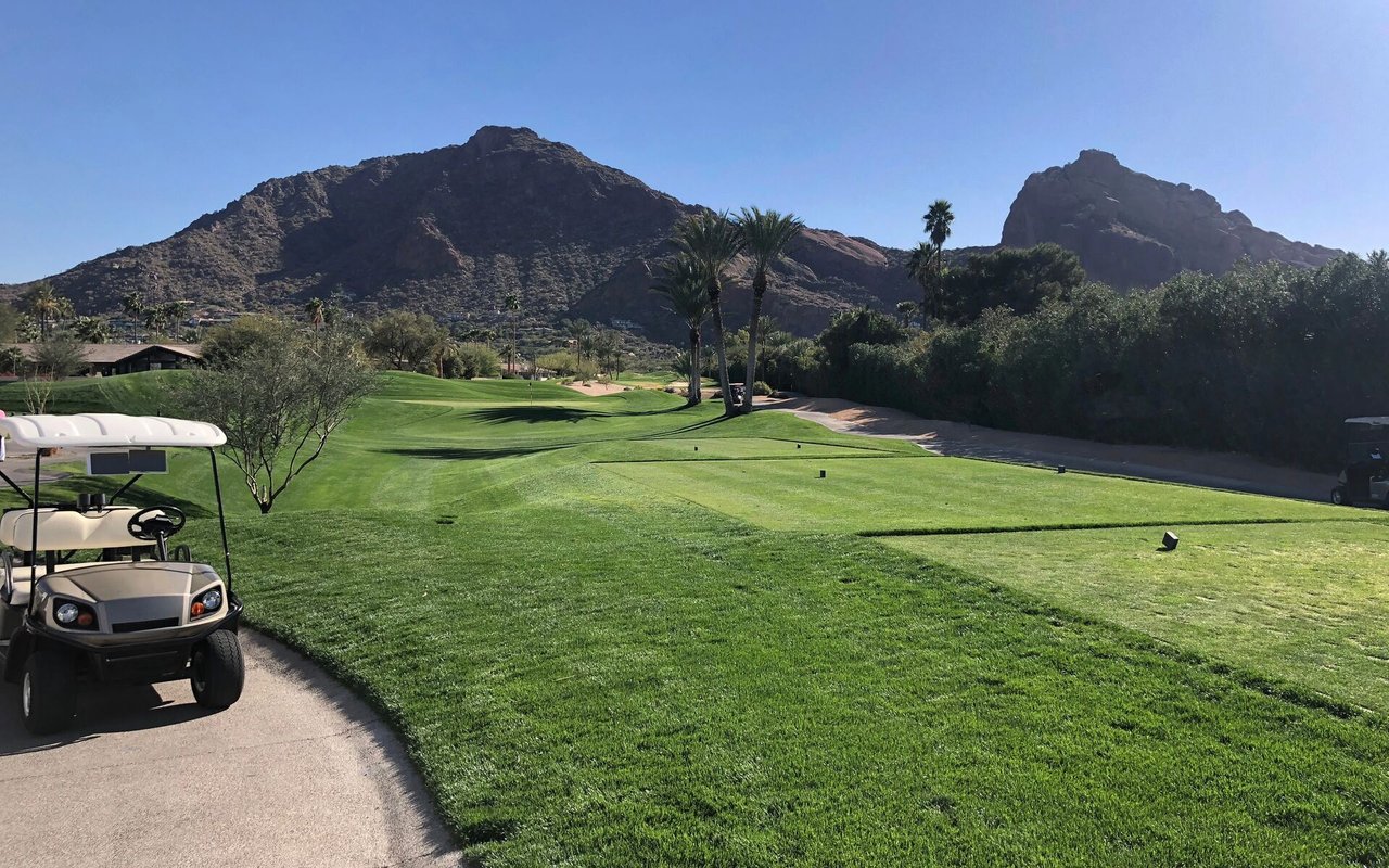 Biltmore Area