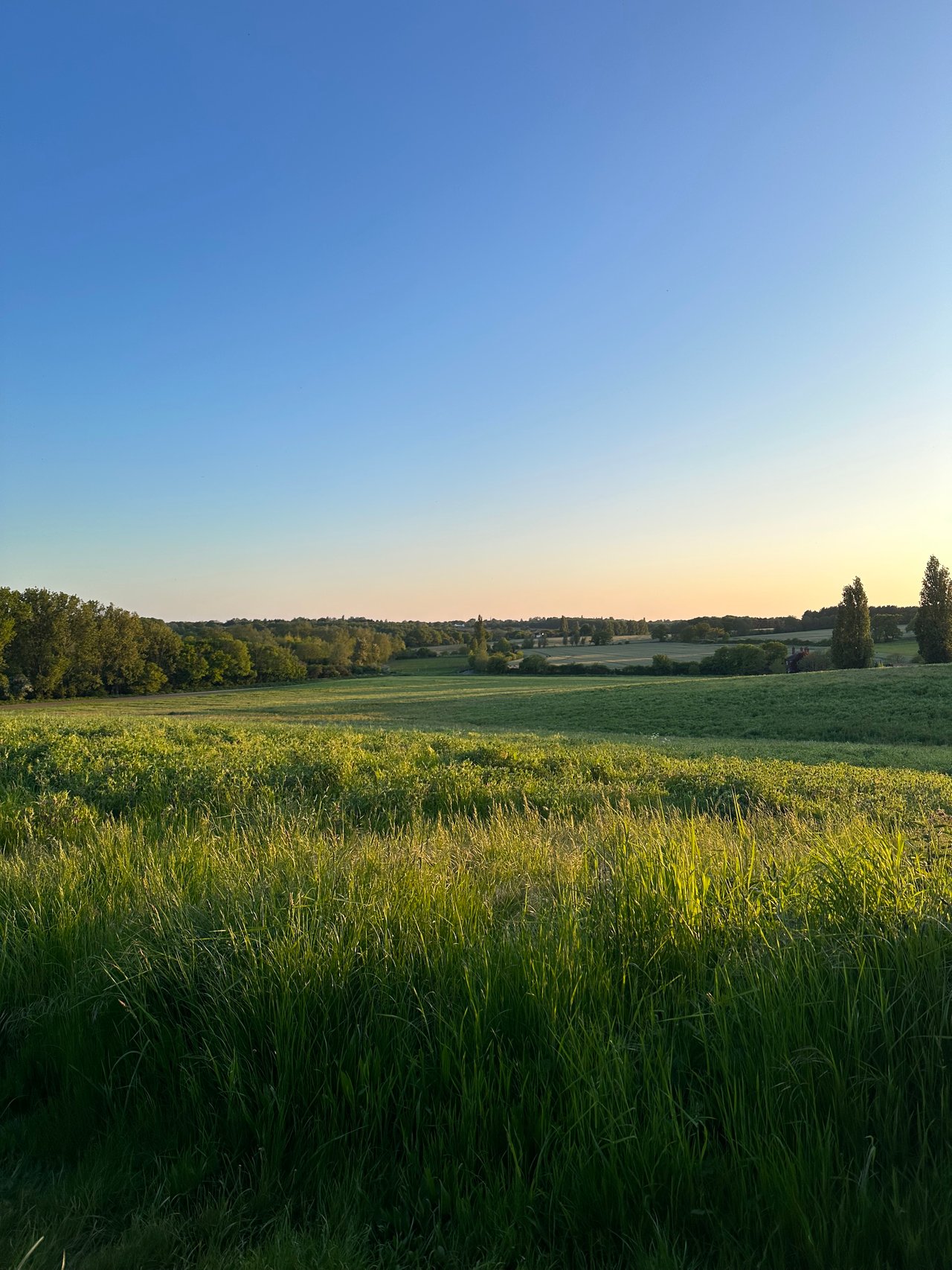 Becker Township, MN Acreage Guide — Land, Lakes & Small-Town Living