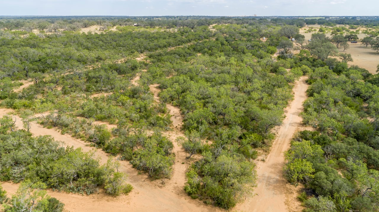 Oaks, Wildlife, & the Quiet of the Countryside | 26.99± Acres | Poteet, TX