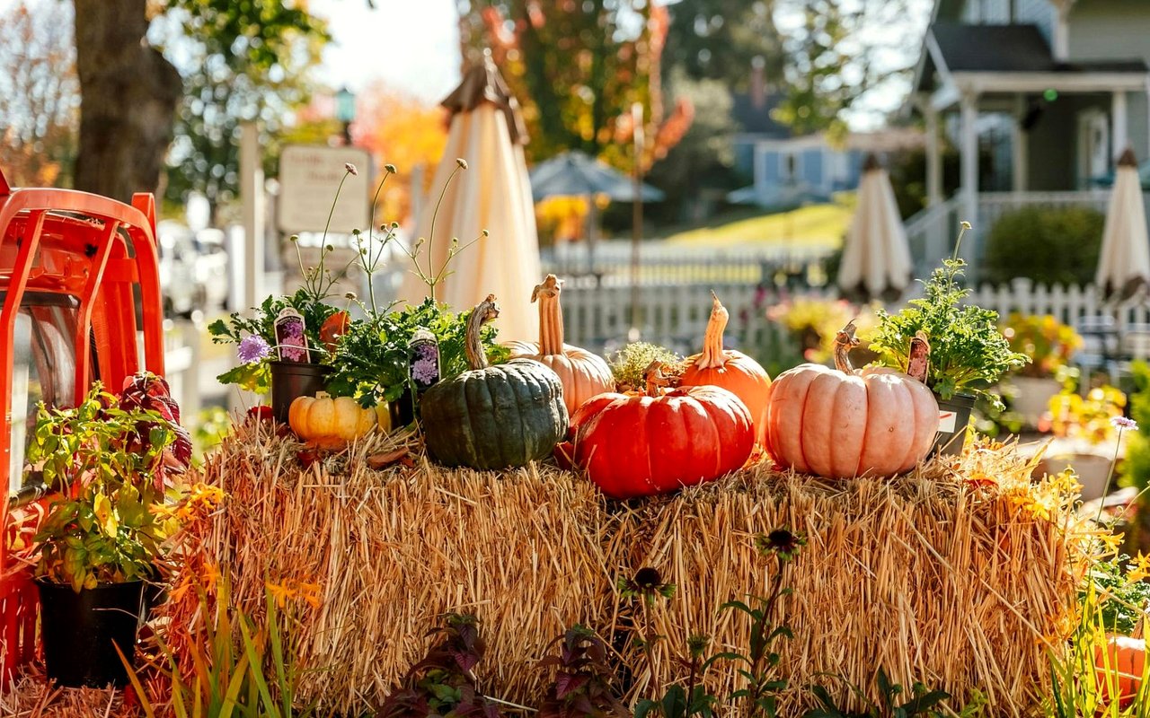 Seasonal Fun: Fall and Holiday Events in Mansfield, TX