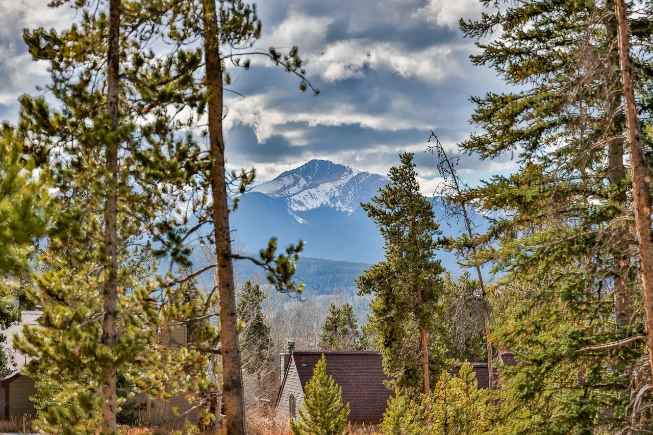 Just Listed: Build Your Ideal Home in Winter Park Ranch's Prime Multi-Family Corner Lot!