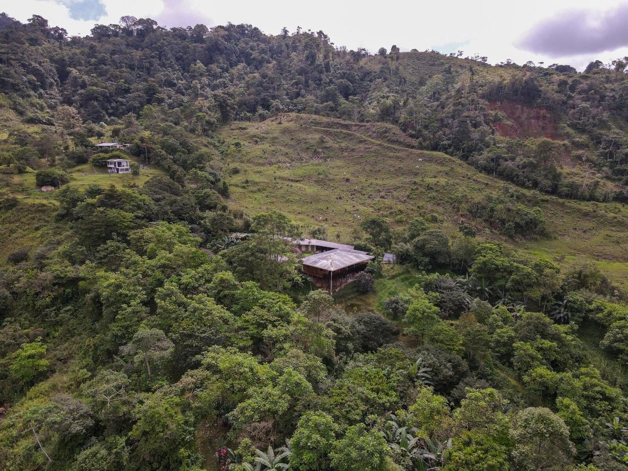 Sustainable Organic Mountain Farm, Perez Zeledon, San Jose