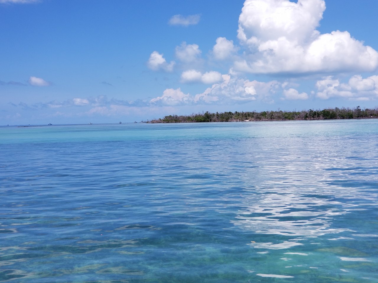 Tavernier/Plantation Key