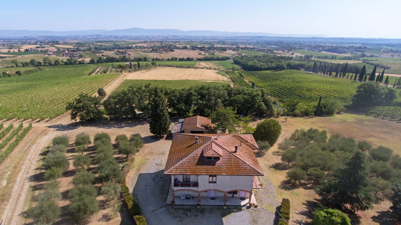 AZIENDA VITIVINICOLA ASCIANELLO