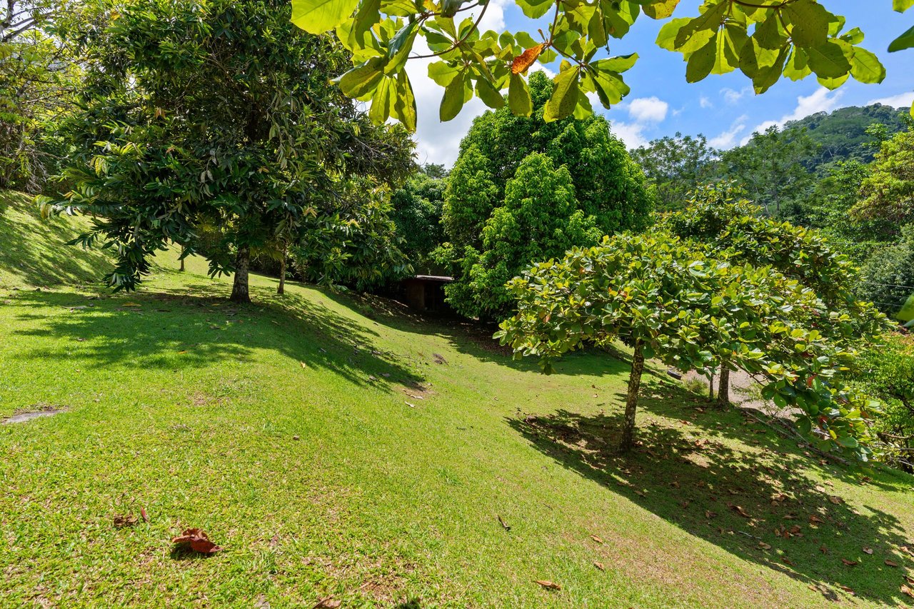 OCEAN VIEW ESTATE HOME WITH GUEST BUNGALOW, CARETAKER HOME, FRUIT TREES, AND WATERFALL – 3.47 ACRES