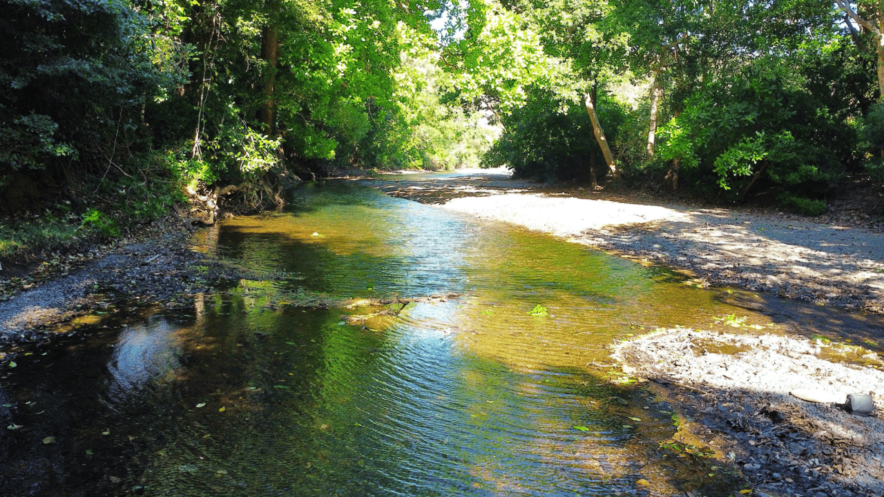 Eco Sanctuary In Playa Marbella - 250 Acre Riverfront