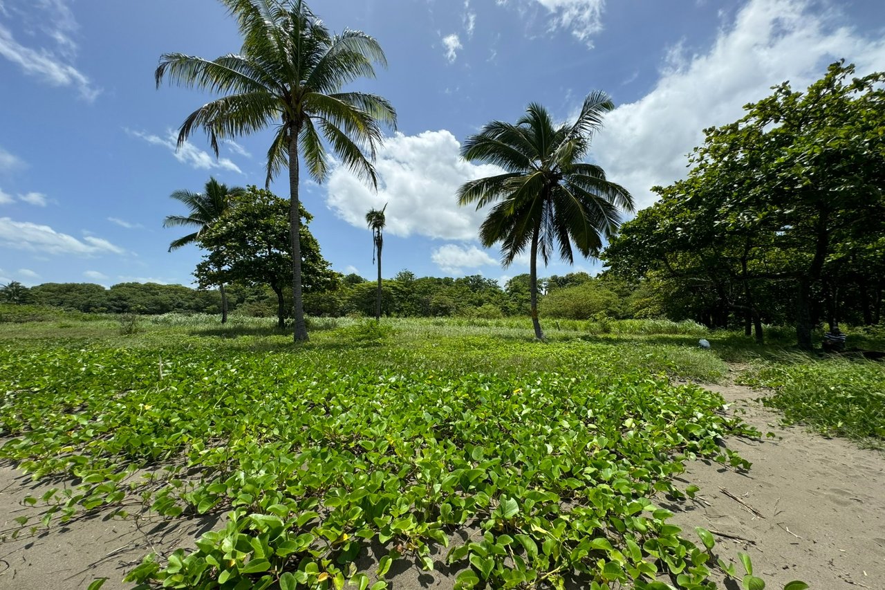 One of a kind Beach Front Parcel in Junquillal Junquillal,