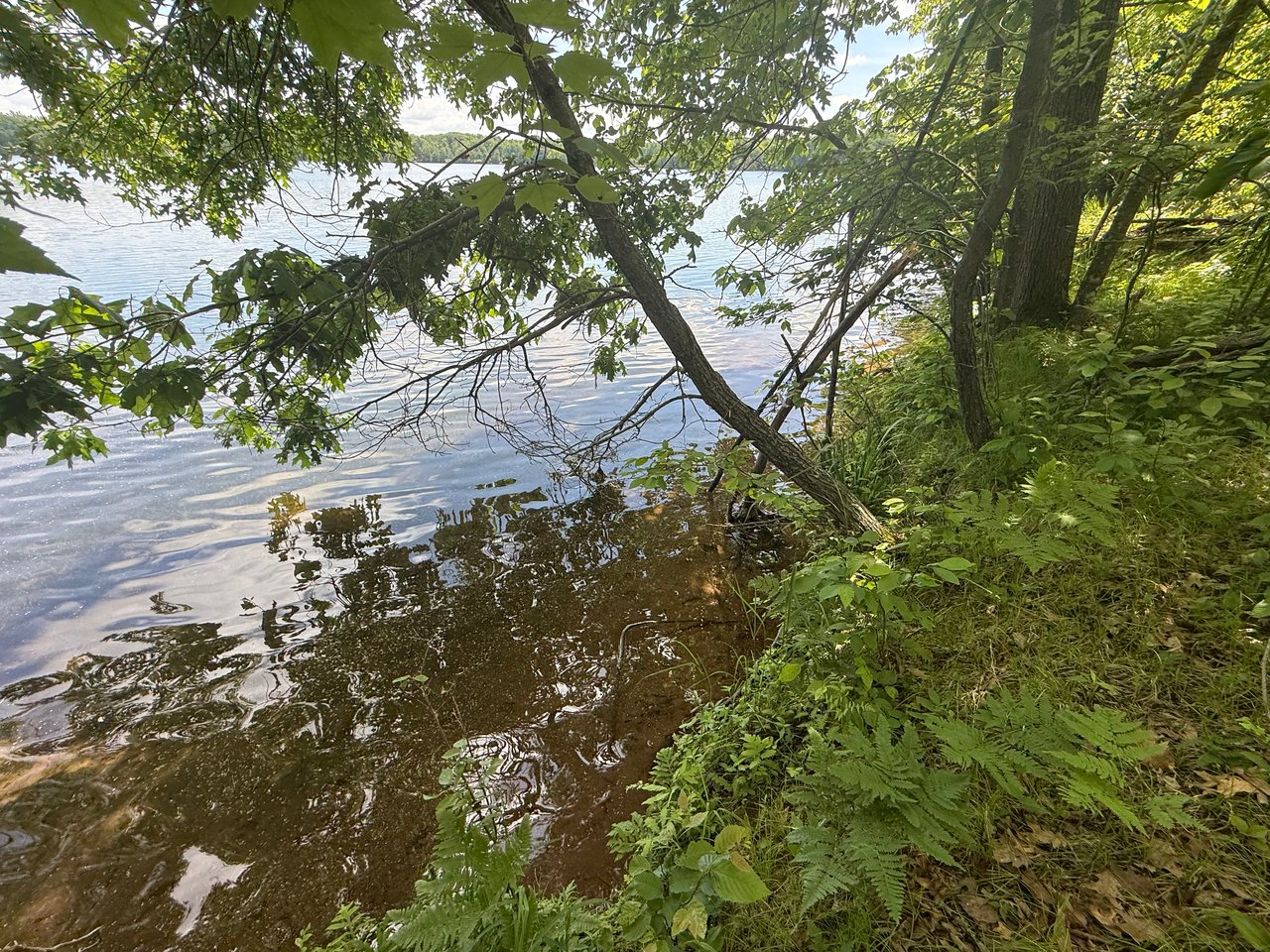 33 Acres Partridge Lane