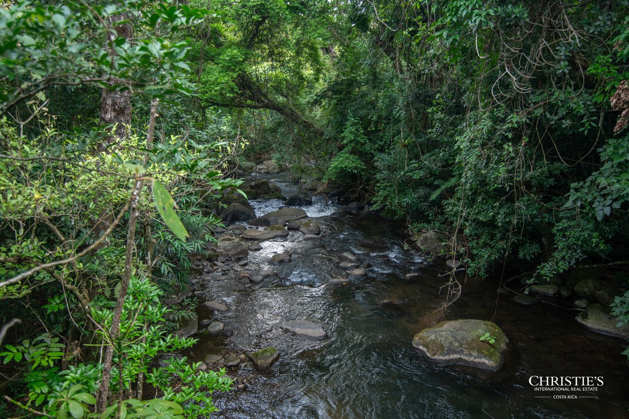 Origins Mineral: A Rare Landholding in Guanacaste’s Volcanic Highlands