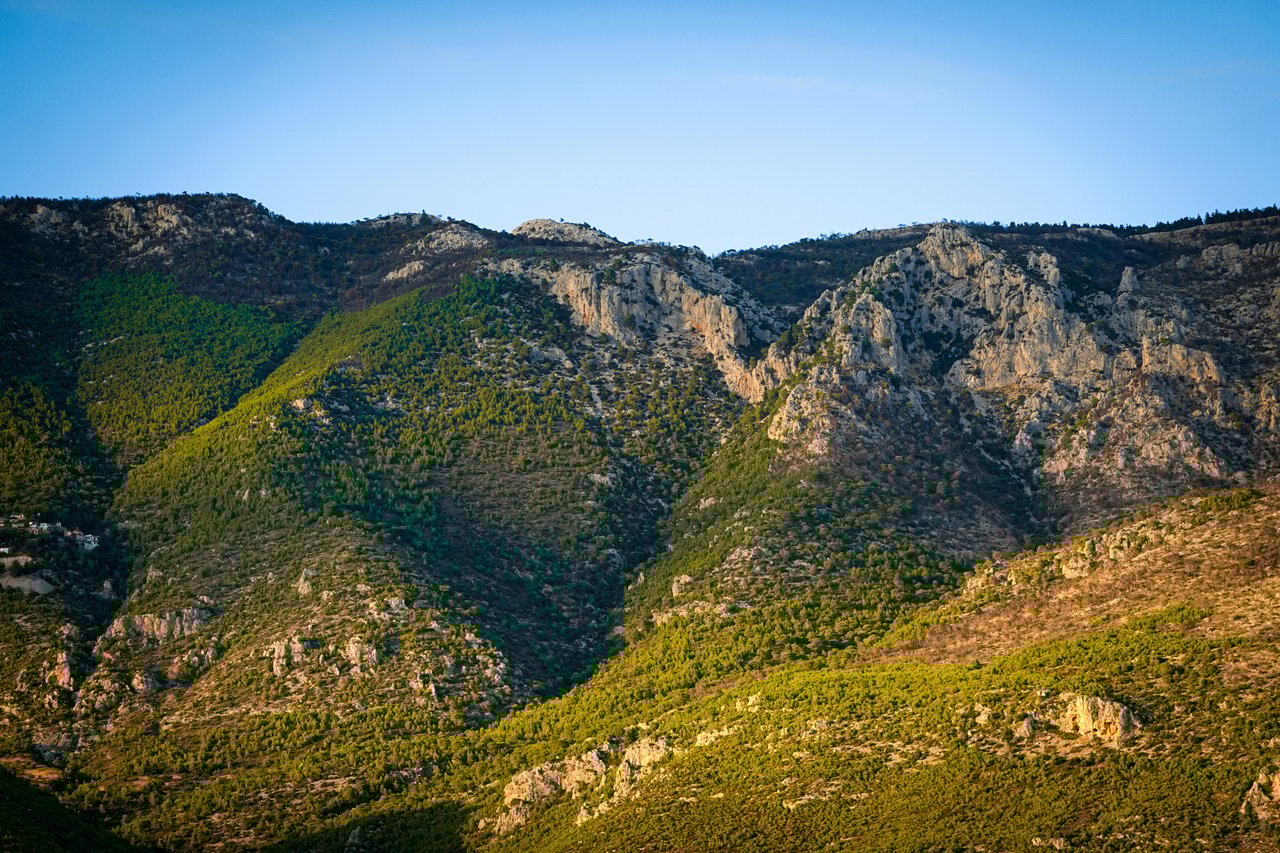 Catalina Foothills
