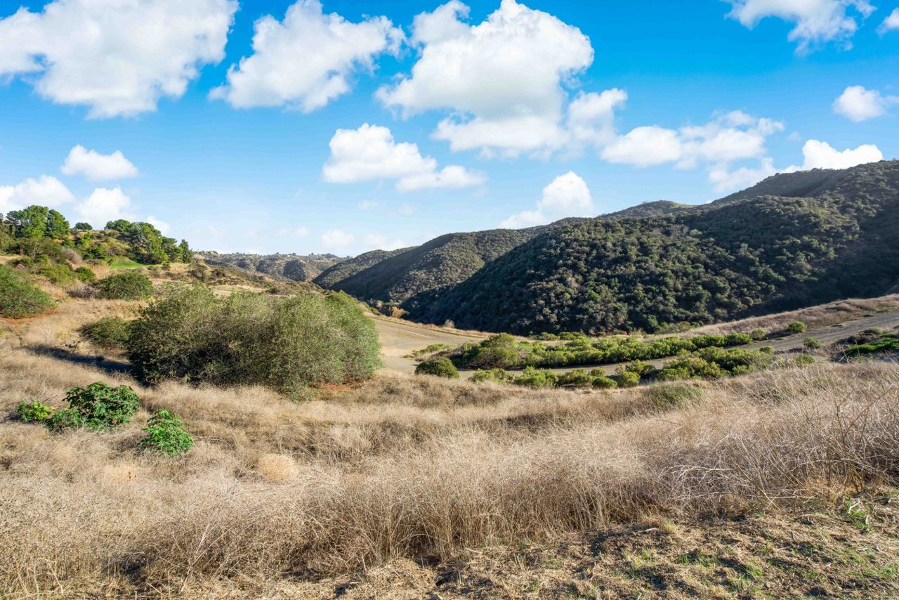 16677 Stone Oak Park